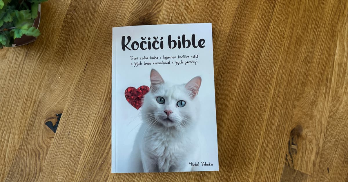 recenze kočičí bible názory diskuze